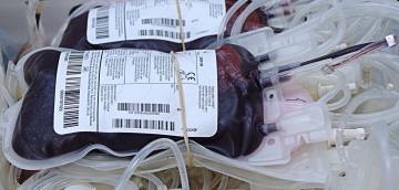 C'è sempre bisogno di sangue
