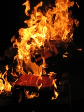 rogo di libri